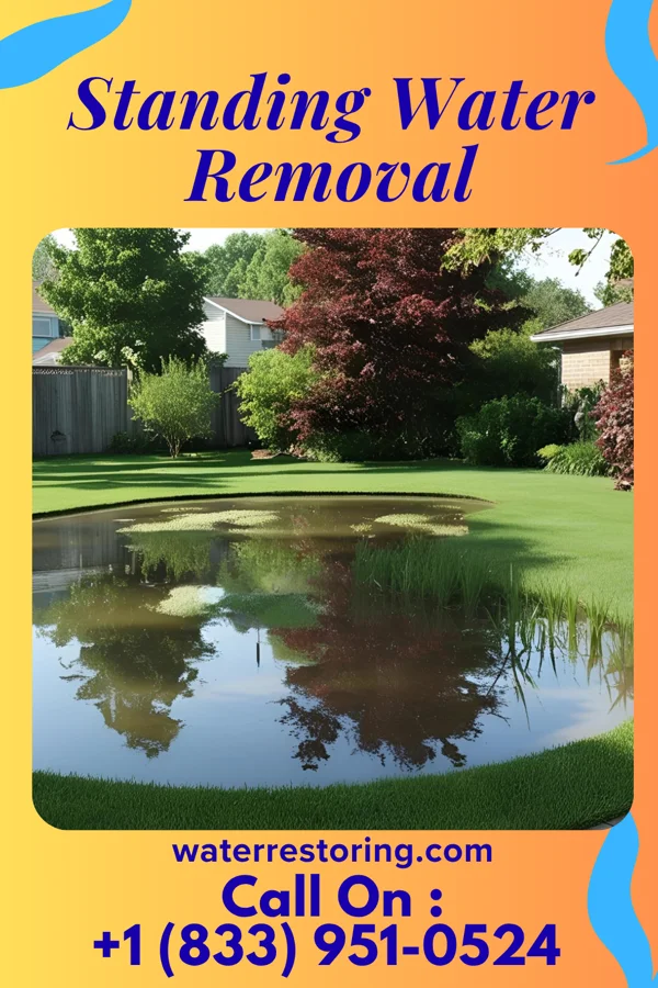 Standing Water Removal in Cotton Valley, LA